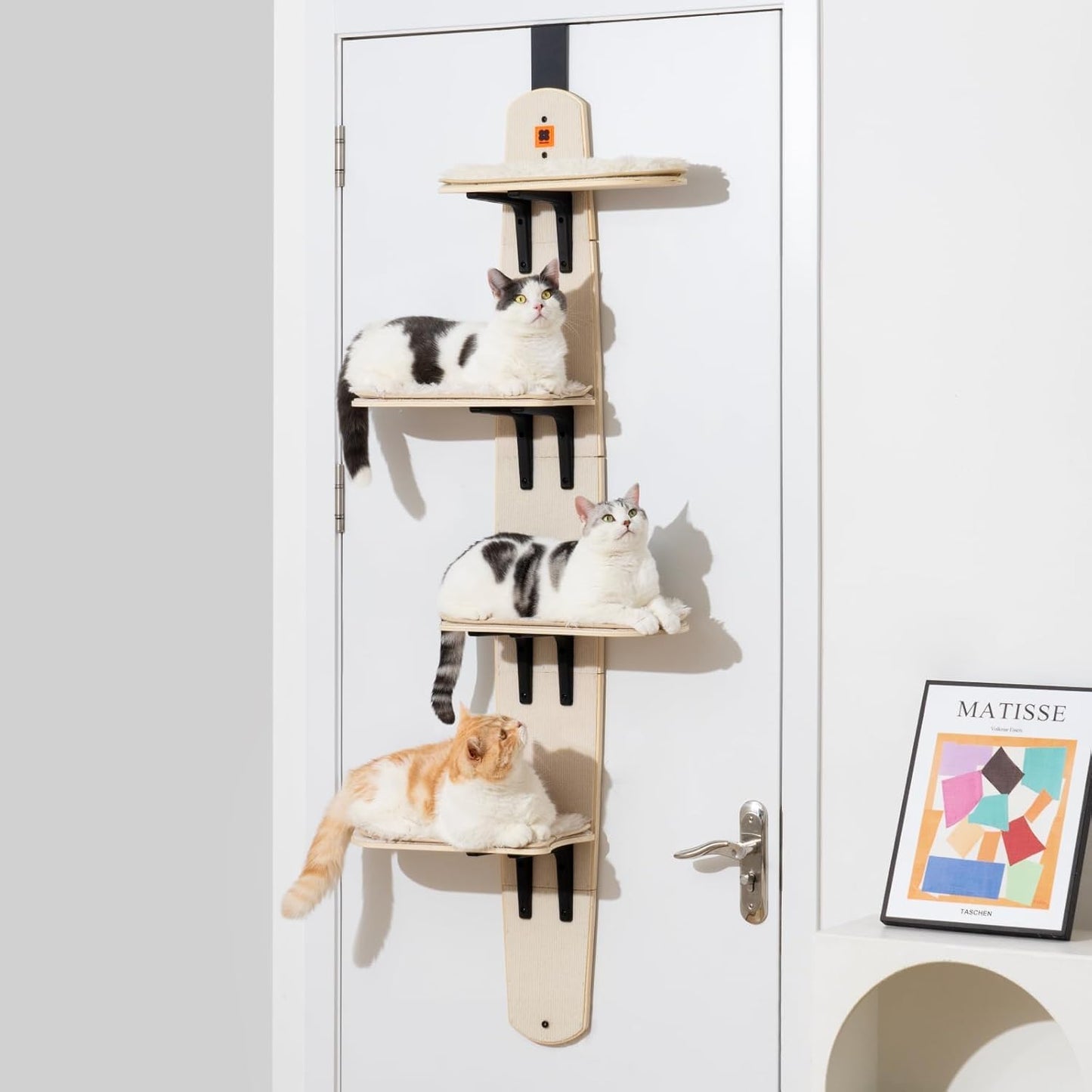 ✨Door Hanging Cat Shelf with 4-Levels Over Door, Cat Tree Door Mounted Cat Climber, Cat Shelves Cat Ladder with Removable Soft Mat