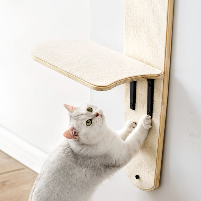 ✨Door Hanging Cat Shelf with 4-Levels Over Door, Cat Tree Door Mounted Cat Climber, Cat Shelves Cat Ladder with Removable Soft Mat