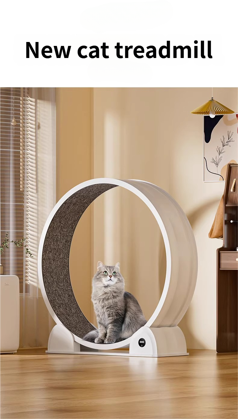 Cat Running Wheel for Indoor Exercise and Play, Perfect for Active Cats