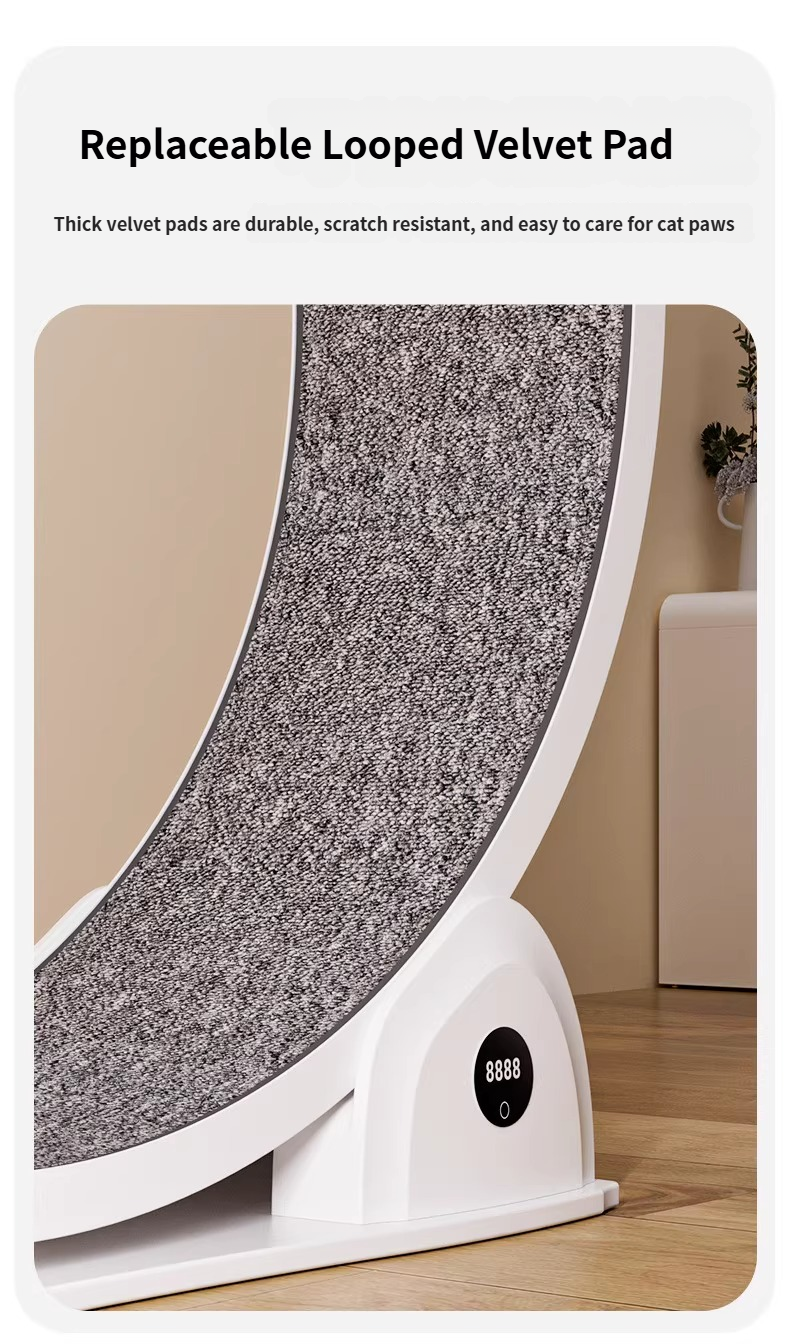Cat Running Wheel for Indoor Exercise and Play, Perfect for Active Cats